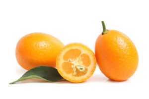 Calorie Kumquat